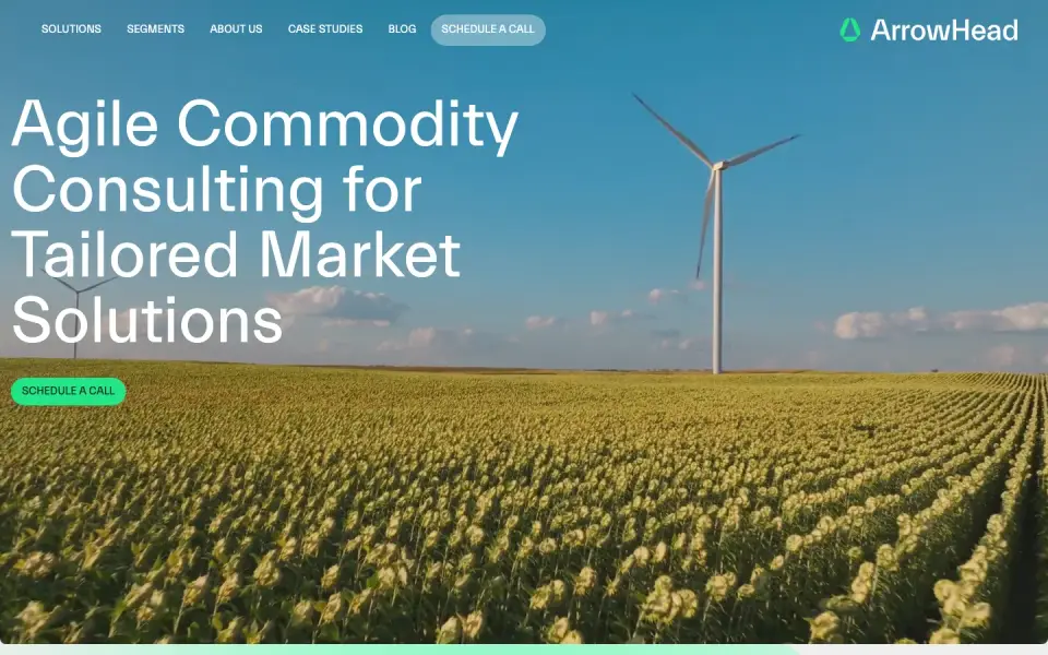 Arrowhead Economics home page on desktop