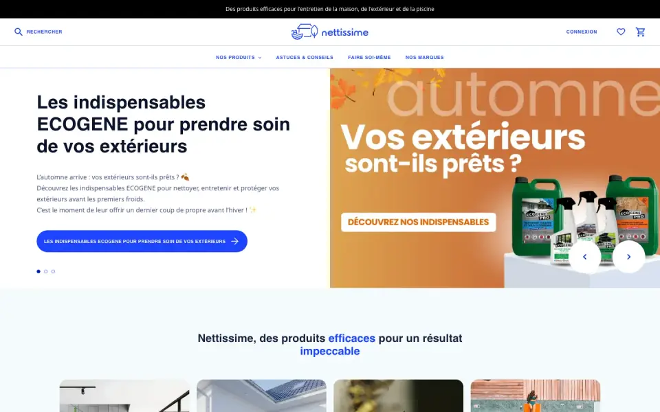 Nettissime home page on desktop